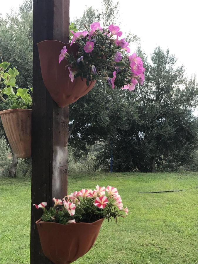 Agriturismo Pingitore Luzzi Экстерьер фото