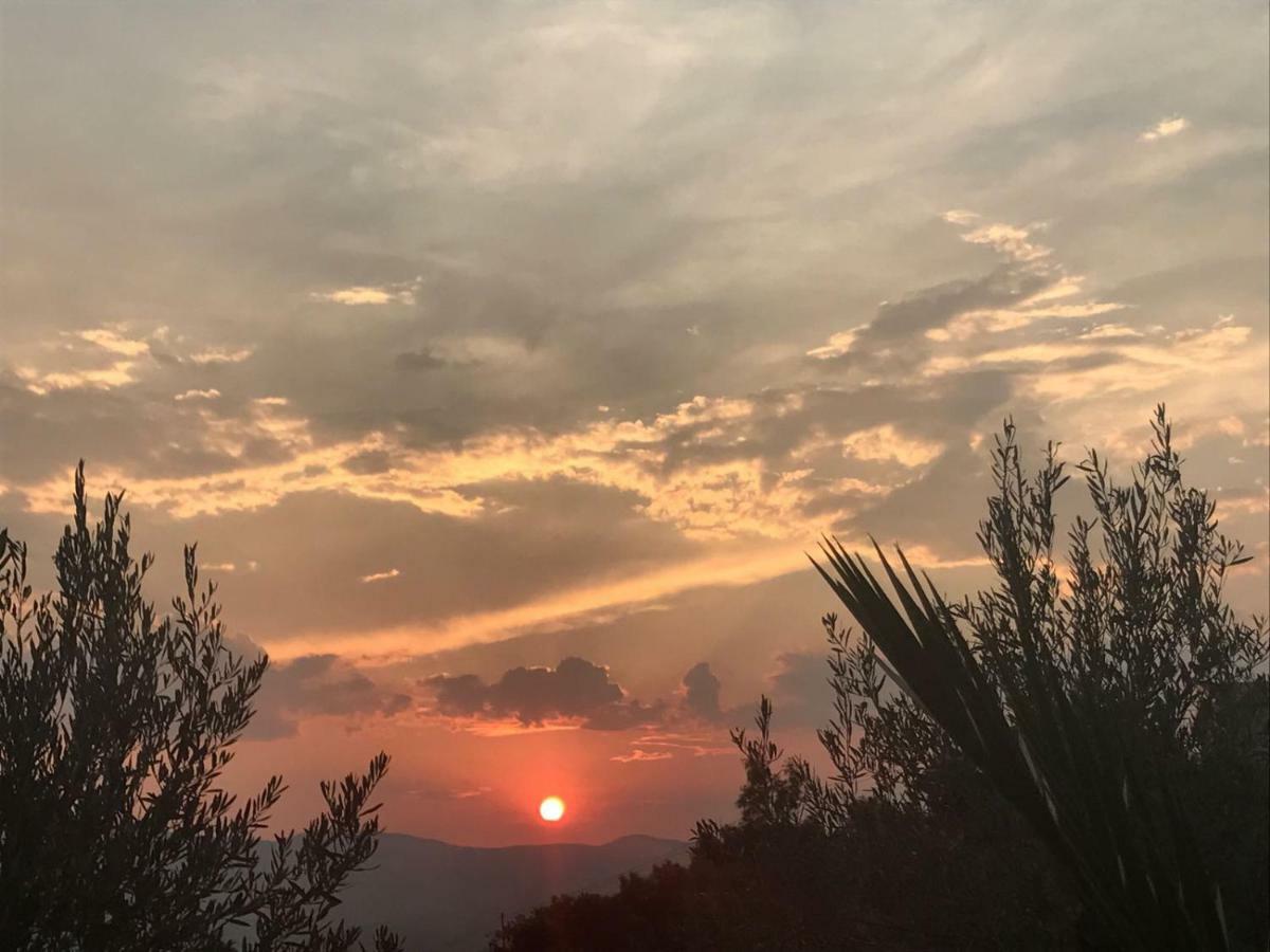 Agriturismo Pingitore Luzzi Экстерьер фото
